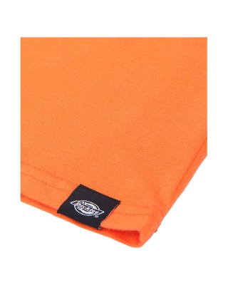 Dickies Icon Logo T-shirt bright orange