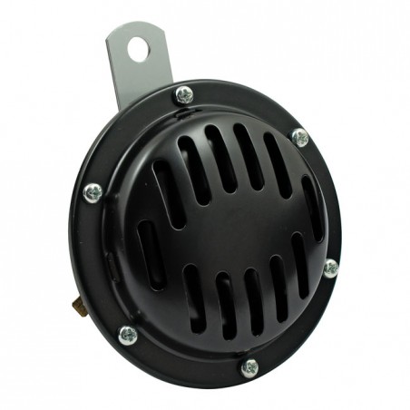 DISC HORN