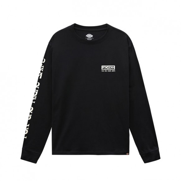 Dickies Willernie T-shirt black