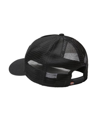 Dickies Bricelyn cap black