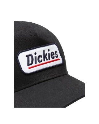 Dickies Bricelyn cap black