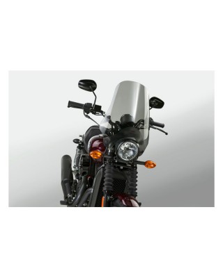 national cycle - Pare-brise Street - 17" de hauteur - 16" de large - Harley-Davidson avec guidon de 7/8" & 1" de diamètre - Fu