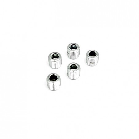 gardner-wescott - Bouchon fileté de vis de purge - 3/4" - Pack de 5 - Chrome - GARDNER-WESTCOTT