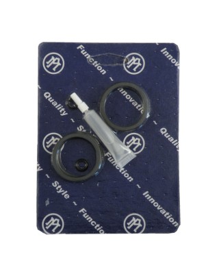 PM CALIPER REBUILD KIT