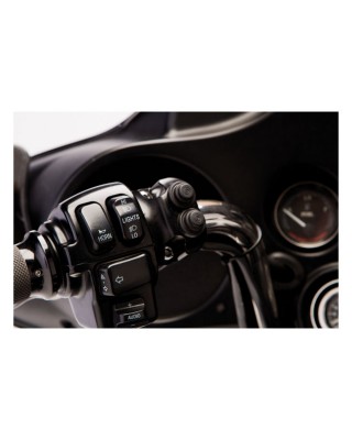 LEGEND HANDLEBAR CONTROL SWITCH ASSY