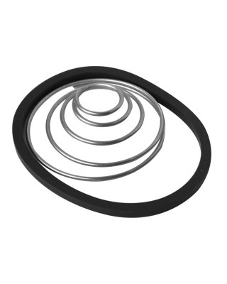 NESS REPL SPRING & OIL RING SET