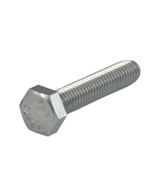 gardner-wescott - Vis 6 pans métrique - M10 x 55MM - Inox - Pack de 25 - GARDNER-WESTCOTT