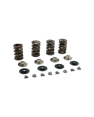 jims - Spring kit .675 inch lift. titanium - JIMS