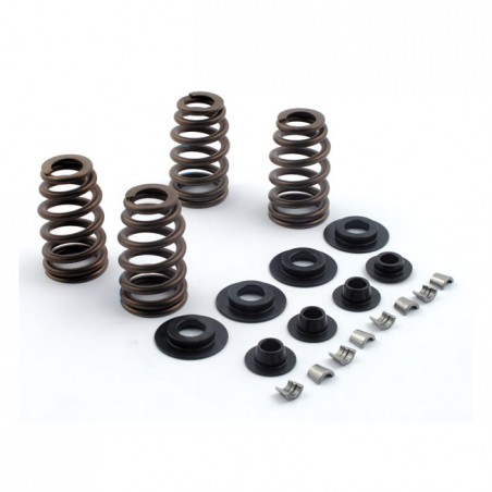 jims - Spring kit .600' lift /titanium - JIMS