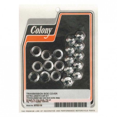 COLONY TRANSM SIDE COVER MOUNT, CAP 36-86 4-SP B.T.(NU)