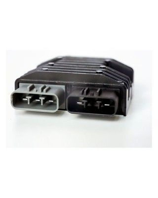 Rick's Lithium ion battery compatible rec-regulator