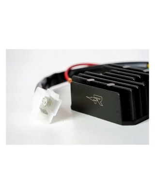 Rick's Lithium ion battery compatible rec-regulator