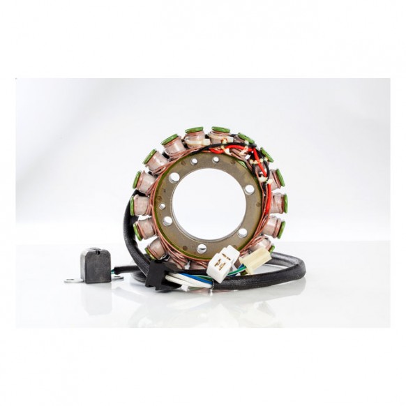 Rick's Hot Shot Suzuki stator