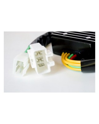 Rick's Lithium ion battery compatible rec-regulator