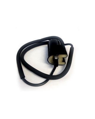 Rick's ignition coil