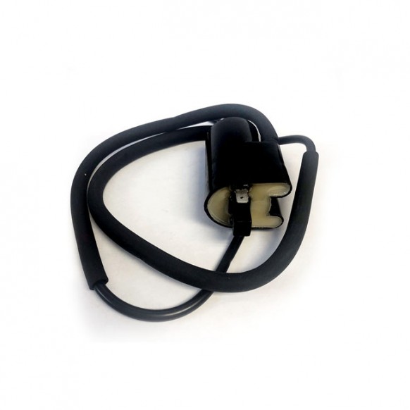 Rick's ignition coil