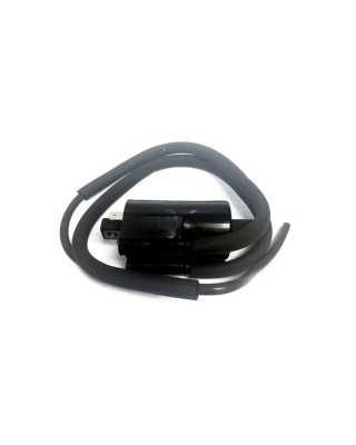 Rick's ignition coil
