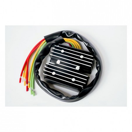 Rick's universal Perm. Magnet Lithium Ion rec-regulator