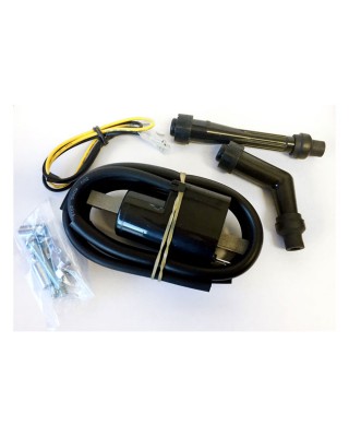 Rick's ignition coils