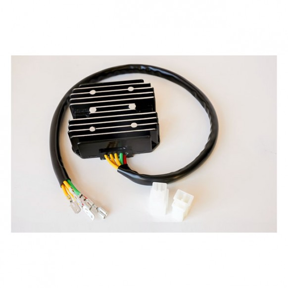 Rick's Lithium ion battery compatible rec-regulator