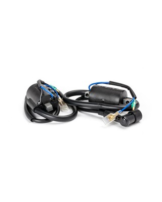 Rick's ignition coils