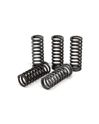 TRW clutch spring kit