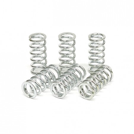 TRW clutch spring kit