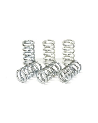 TRW clutch spring kit