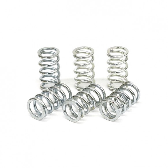 TRW clutch spring kit
