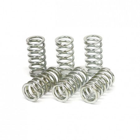 TRW clutch spring kit