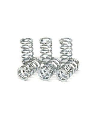 TRW clutch spring kit