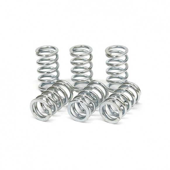 TRW clutch spring kit