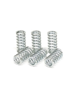 TRW clutch spring kit