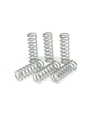 TRW clutch spring kit