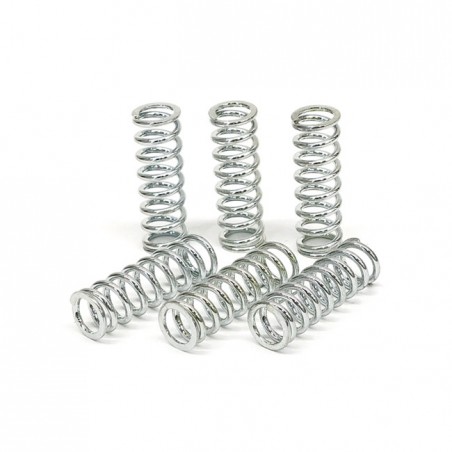 TRW clutch spring kit