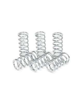 TRW clutch spring kit