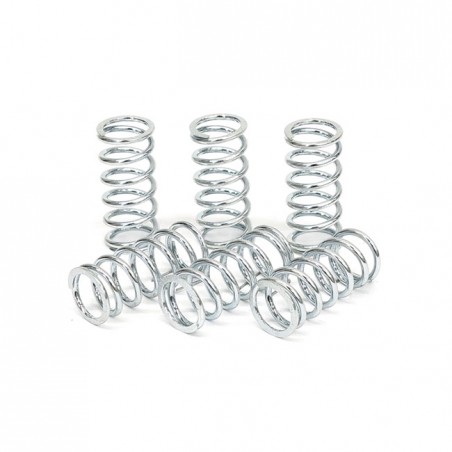 TRW clutch spring kit