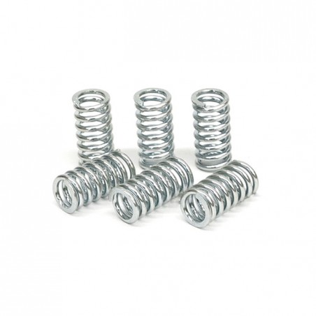 TRW clutch spring kit