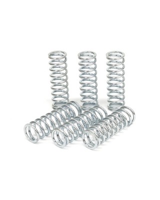 TRW clutch spring kit