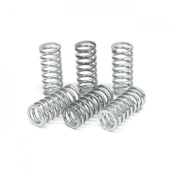 TRW clutch spring kit