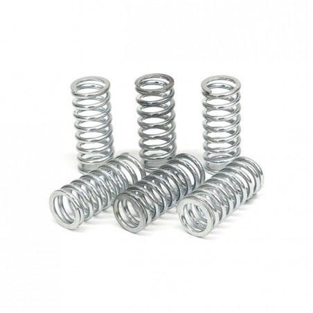 TRW clutch spring kit