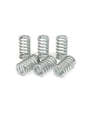 TRW clutch spring kit