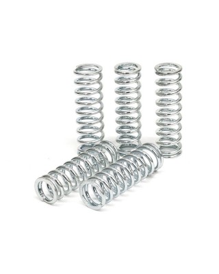 TRW clutch spring kit