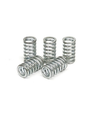 TRW clutch spring kit