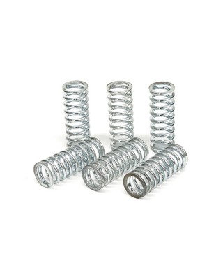 TRW clutch spring kit