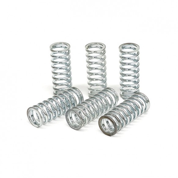 TRW clutch spring kit