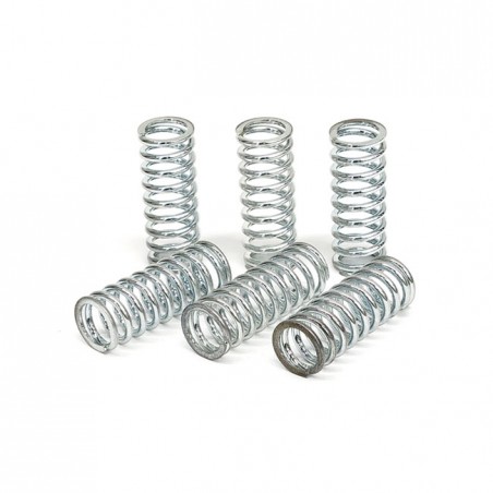 TRW clutch spring kit