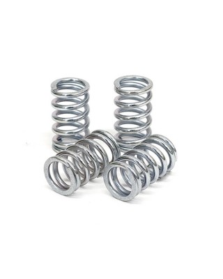 TRW clutch spring kit