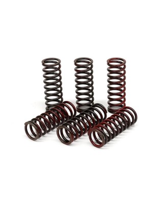 trw - Kit de ressorts d'embrayage - Yamaha FZ1, FZ8, MT-09 & YZF R1 de 2004 à 2016 - Acier - TRW