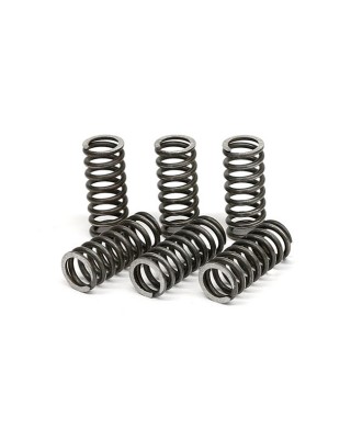 TRW clutch spring kit